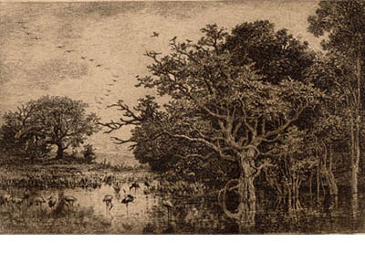 Charles Francois Daubigny